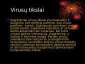 Kompiuterių virusai, jų tikslai ir tipai 4 puslapis
