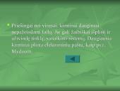 Apsauga nuo kompiuterių virusų 13 puslapis