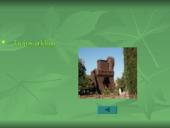 Apsauga nuo kompiuterių virusų 15 puslapis