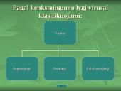 Apsauga nuo kompiuterių virusų 20 puslapis