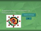 Apsauga nuo kompiuterių virusų 5 puslapis