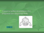 Apsauga nuo kompiuterių virusų 8 puslapis