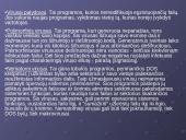 Kompiuterių virusų sąvoka, veikimas ir istorija 13 puslapis