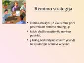 Komunikacijos procesas marketinge 13 puslapis