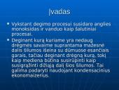 Kondensacinis ekonomaizeris 2 puslapis