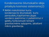 Kondensacinis ekonomaizeris 12 puslapis