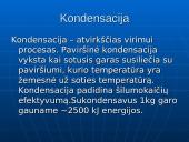 Kondensacinis ekonomaizeris 3 puslapis