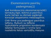 Kondensacinis ekonomaizeris 9 puslapis