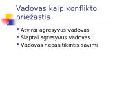 Konfliktų organizacijose valdymas 17 puslapis