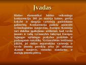 Konkurencija rinkoje 3 puslapis