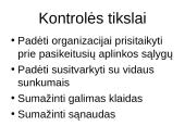 Kontrolė kaip sistemingas procesas 2 puslapis