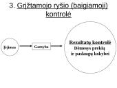 Kontrolė kaip sistemingas procesas 17 puslapis