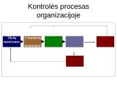 Kontrolė kaip sistemingas procesas 3 puslapis