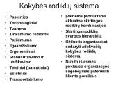 Kontrolė kaip sistemingas procesas 5 puslapis
