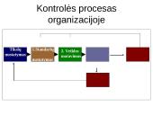 Kontrolė kaip sistemingas procesas 7 puslapis