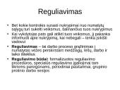 Kontrolė kaip sistemingas procesas 10 puslapis