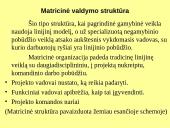 Kontrolės apimtis ir organizacinių struktūrų tipai 10 puslapis