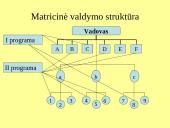 Kontrolės apimtis ir organizacinių struktūrų tipai 11 puslapis