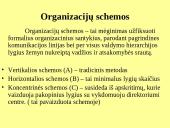 Kontrolės apimtis ir organizacinių struktūrų tipai 12 puslapis