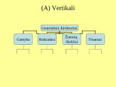 Kontrolės apimtis ir organizacinių struktūrų tipai 13 puslapis