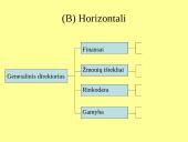 Kontrolės apimtis ir organizacinių struktūrų tipai 14 puslapis
