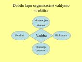 Kontrolės apimtis ir organizacinių struktūrų tipai 16 puslapis