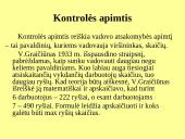 Kontrolės apimtis ir organizacinių struktūrų tipai 2 puslapis