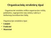 Kontrolės apimtis ir organizacinių struktūrų tipai 4 puslapis