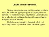 Kontrolės apimtis ir organizacinių struktūrų tipai 5 puslapis