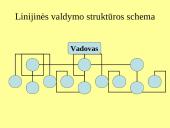 Kontrolės apimtis ir organizacinių struktūrų tipai 6 puslapis
