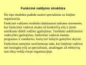 Kontrolės apimtis ir organizacinių struktūrų tipai 7 puslapis