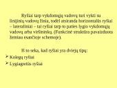 Kontrolės apimtis ir organizacinių struktūrų tipai 8 puslapis