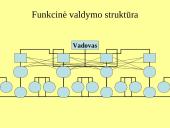 Kontrolės apimtis ir organizacinių struktūrų tipai 9 puslapis