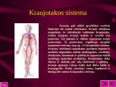 Kraujo sudėtis ir reikšmė 12 puslapis