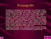 Kraujo sudėtis ir reikšmė 15 puslapis