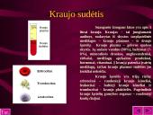 Kraujo sudėtis ir reikšmė 4 puslapis