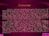 Kraujo sudėtis ir reikšmė 6 puslapis