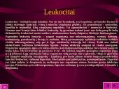 Kraujo sudėtis ir reikšmė 9 puslapis