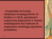 Žmogaus kraujotaka 2 puslapis