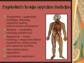 Žmogaus kraujotaka 11 puslapis