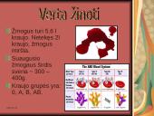 Žmogaus kraujotaka 12 puslapis