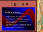 Žmogaus kraujotaka 6 puslapis