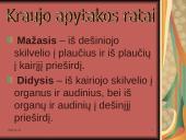 Žmogaus kraujotaka 8 puslapis