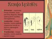 Žmogaus kraujotaka 9 puslapis