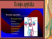 Žmogaus kraujotaka 10 puslapis