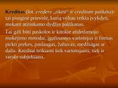 Kreditas, kredito rūšys, nauda ir trūkumai 2 puslapis