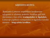 Kreditas, kredito rūšys, nauda ir trūkumai 13 puslapis