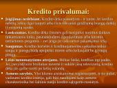 Kreditas, kredito rūšys, nauda ir trūkumai 14 puslapis
