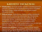 Kreditas, kredito rūšys, nauda ir trūkumai 15 puslapis