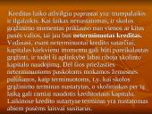 Kreditas, kredito rūšys, nauda ir trūkumai 6 puslapis